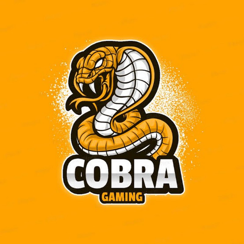 GAMEPLAY COBRA