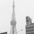 Xsu4x9CH3fY-channel-avatar-東京わた