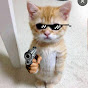 Useless Memes  Avatar