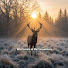 7PFTxLJuRjQ-channel-avatar-Wild forests of the Carpathians