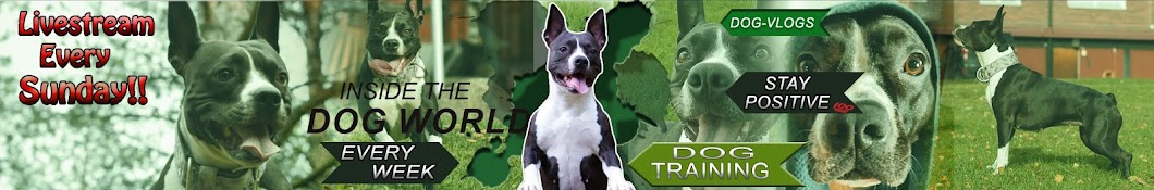 Inside The Dog-World Avatar del canal de YouTube