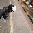 Y2IdQ3VwKGc-channel-avatar-Sebas