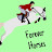 @FOREVER_HORSES-