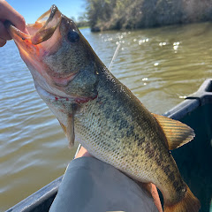 Fishless78!