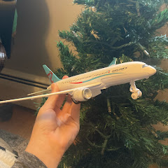 Planes & Cats 
