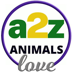 A-2-Z animals