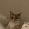 Автор