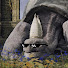 gyMl2Vz_I6c-channel-avatar-TurtlePops