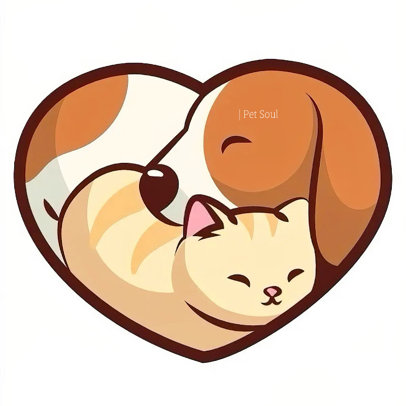 Pet Soul