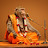 Pravachan Wale Baba
