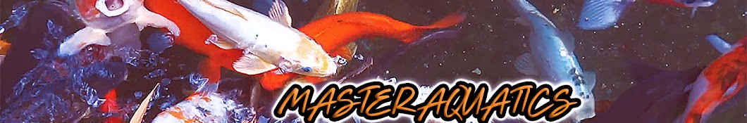 MasterAquatics Avatar canale YouTube 
