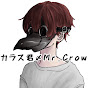 Mr.Crow〆カラス君