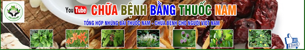 Chá»¯a Bá»‡nh Báº±ng Thuá»‘c Nam YouTube 频道头像