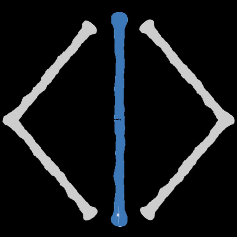 PhyLosophy