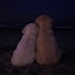 _ED_TjJZNM0-channel-avatar-safe and still ♡