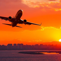 Plane Crash Chronicles