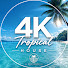SoQjjp5s1_U-channel-avatar-4K Tropical House