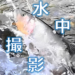 淡水魚の水中映像chアイコン画像