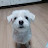 @SangWoo-w9s