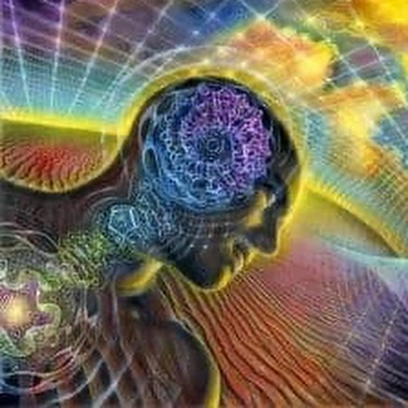 Psicología Reality