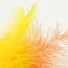 gZ_RpZUsHZw-channel-avatar-Yellow Feather