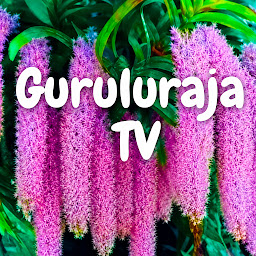 Guruluraja Tv