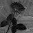 @حوشحوش-ذ7ط8س