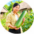 qpi9bj_y6Aw-channel-avatar-An Peacefull Farm