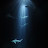 @EverLastingMoney101 Avatar