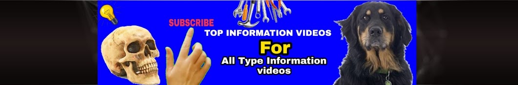 Top Information Videos Avatar channel YouTube 