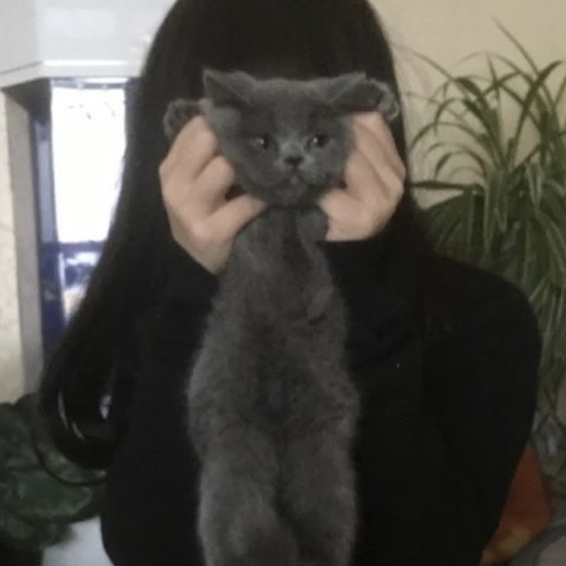 O’eR 오얼