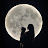 @rabbit1999-o4h