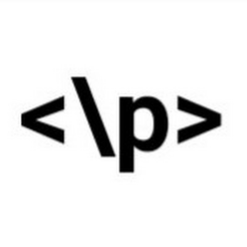 The Programmer