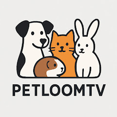 PetLoomTV
