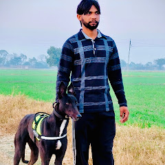 Binderpal Fdk786 