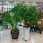 @돌풀-d6t