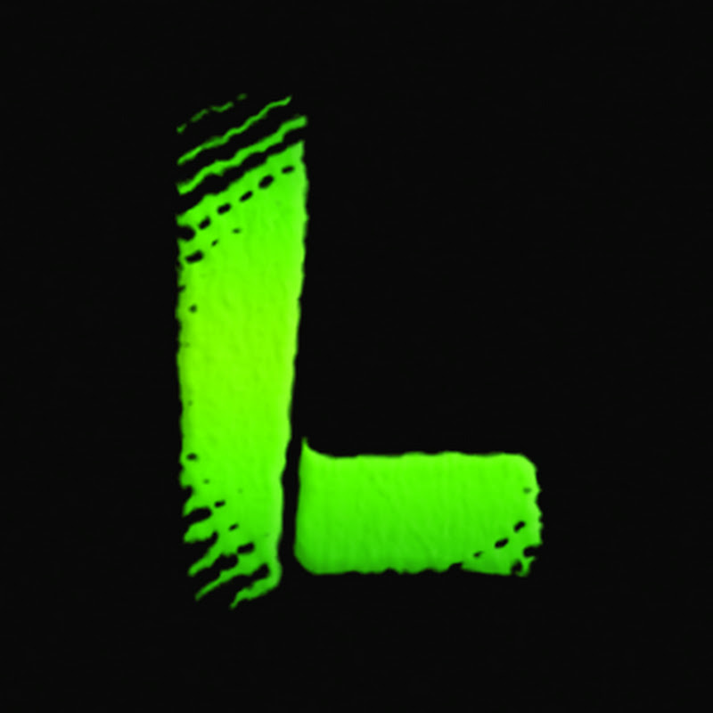 LEONARDOX