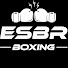 L3cBl-wGT4I-channel-avatar-ESBR Boxing