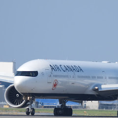 The plane