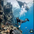 ij4wtD_sUF0-channel-avatar-tireur d'élite de poissons 
