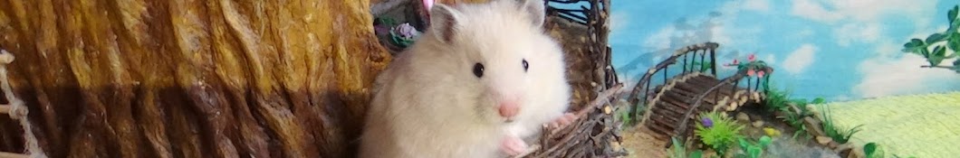 The Secret Life of my Hamster رمز قناة اليوتيوب