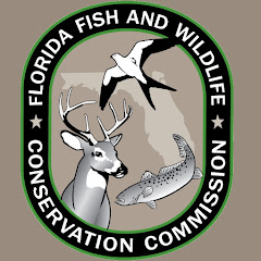 FWC Research