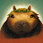 capybara_izz_my_spirit_animal