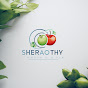 Health sDDory logo