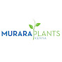 Murara Plants LTD logo
