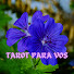 HgcuBHk97hg-channel-avatar-TAROT PARA VOS