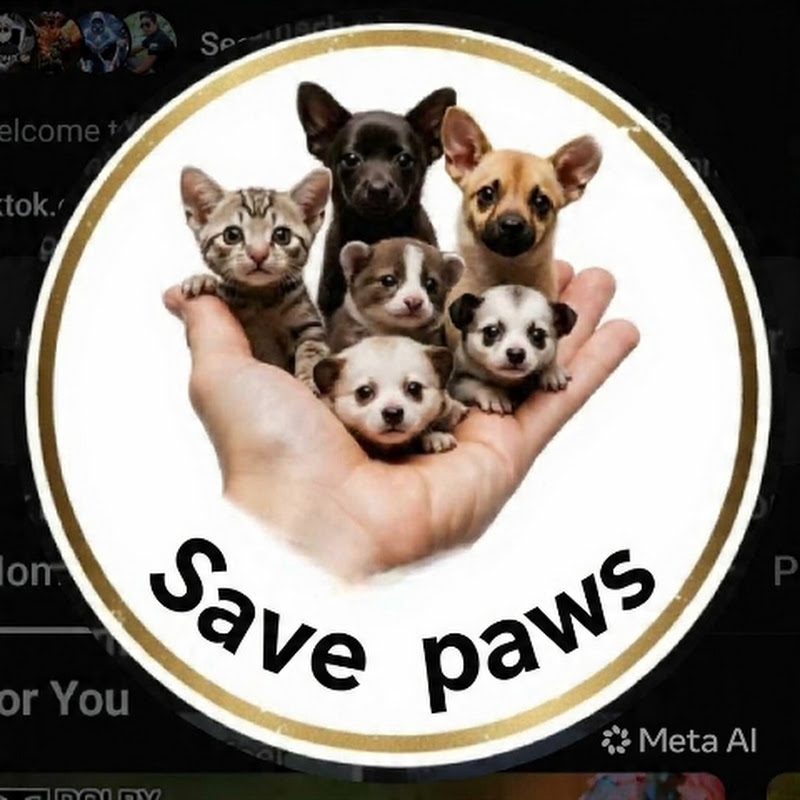 Save The Paws 🐾
