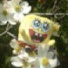 zy3Kml-F7J0-channel-avatar-juralumin