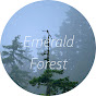 Emerald Forest Naturescapes logo