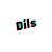 @DilsGame